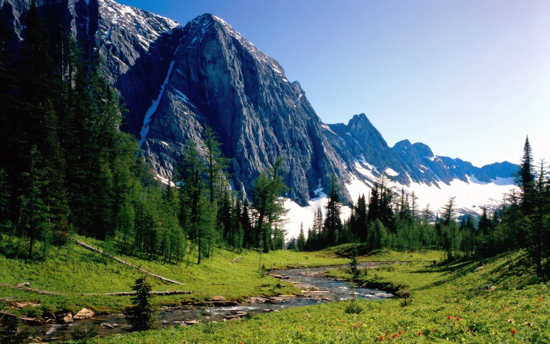 europe, dolomites, outdoors, forest, land, yosemite National Park, color Image, beauty In Nature, panoramic, national Landmark, national Park, field, no People