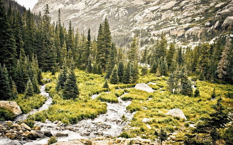 summer, valley, stones, mountain, rock - Object, winter, vacations, wilderness Area, environment, fir Tree, mountains, day, growth, travel, autumn, green