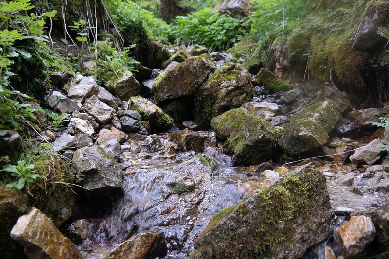 stones, flowing water, tranquility, scenics - nature, plant, growth, no people, outdoors, beauty in nature, rock, flowing, mountains, rock - object, solid