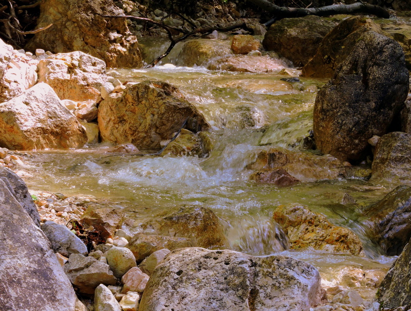 water, stone, beauty in nature, shallow, scenics - nature, flowing water, nature, flowing, stream, rock - Object, source, forest, river, land, solid, tranquility