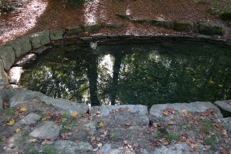 wall, source, tree, outdoors, no people, tranquility, laupheim, bridge, 5K, wall - building feature, history, day, schlossgarten, mirroring, built structure