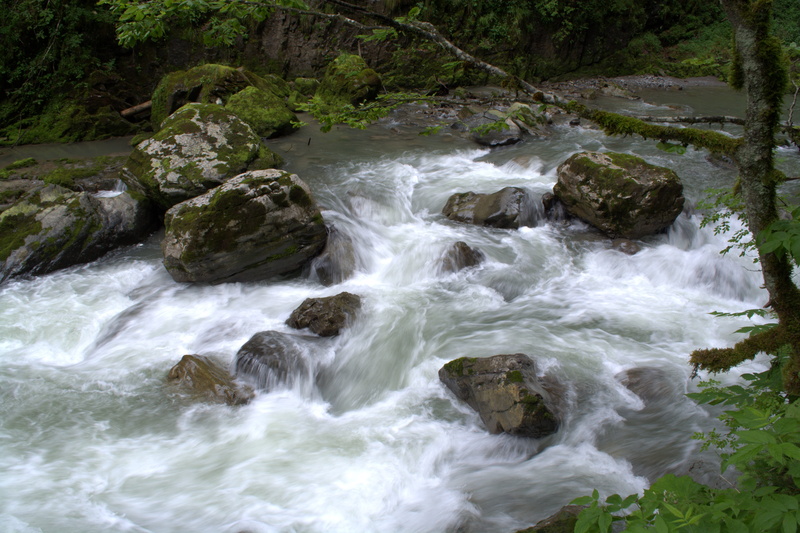 day, broad brook clammy, non-urban scene, mountains, tree, source, motion, water, kleinwalsertal, flowing water, nature, flow, Allgäu, stones, Broad Brook