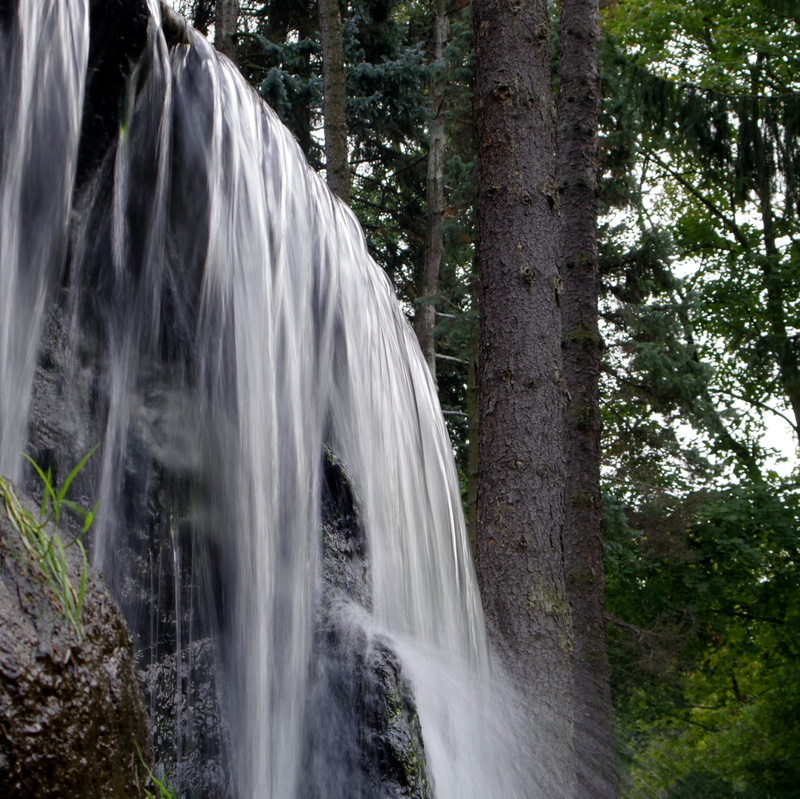 no people, tree trunk, growth, the beauty of nature, landscape, blurred motion, water, stream, source, swim, long exposure, purity, Stream, plant, falling water