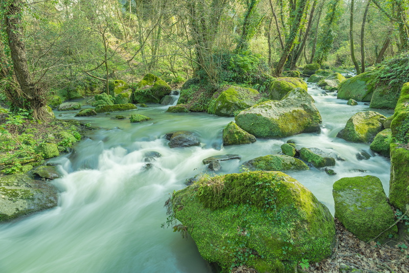 scenic, stream - flowing water, water, stream, rocks, waterfall, 5K, blurred motion, plant, tree, no people, woodland, tranquil scene, non-urban scene