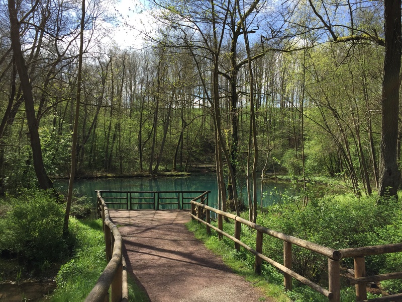 green, the way forward, river, footbridge, 2K, source, woodland, footpath, railing, forest, green color, tree, sun, wood, long, bridge, beauty in nature