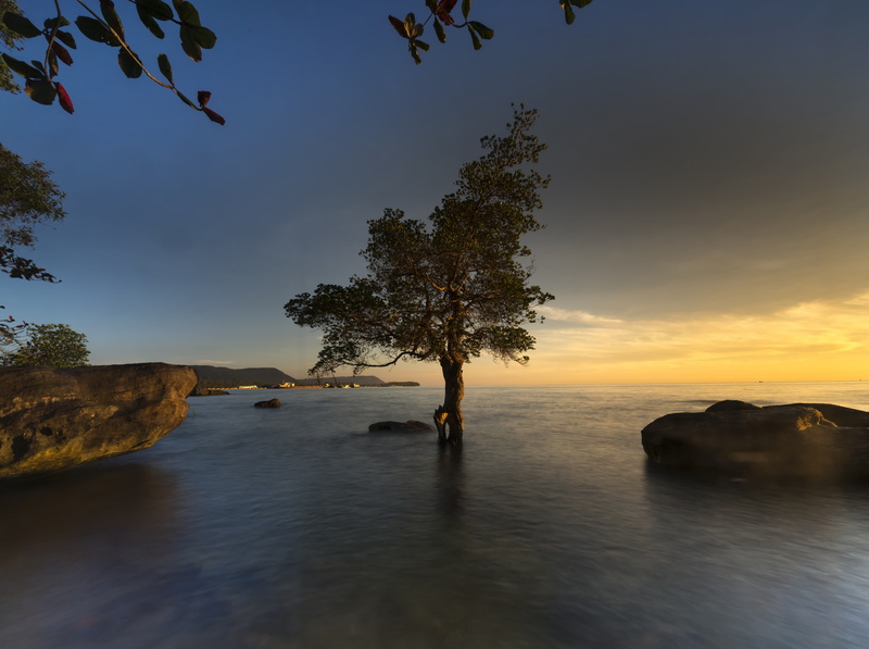 reflection, outdoors, sunset, Tree, flooding, Asia, scenics - nature, tranquil scene, beauty in nature, Rocks, mangrove, Skyline, Photography, sky, plant