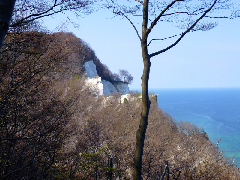 scenics - nature, mountain, tranquil scene, bare tree, non-urban scene, land, water, tranquility, sky, outdoors, 4K, rock, moens klint, white cliffs, tree