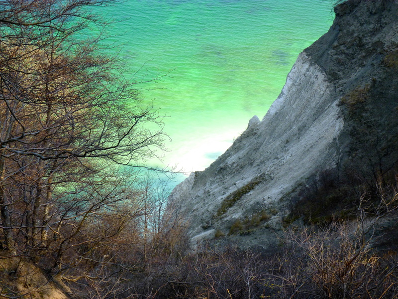 water, no people, plant, scenics - nature, tranquility, white cliffs, 4K, denmark, outdoors, branch, land, growth, tree, tranquil scene, rock, sky, baltic sea