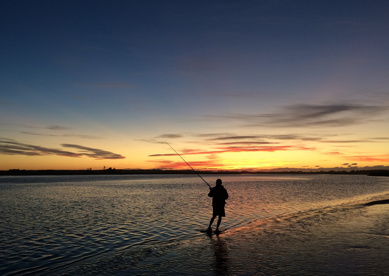 kairaki beach, evening, nz, beach, shore, outdoors, beauty in nature, sea, fishing rod, sunrise, new zealand, orange color, standing, nature, blue, rod