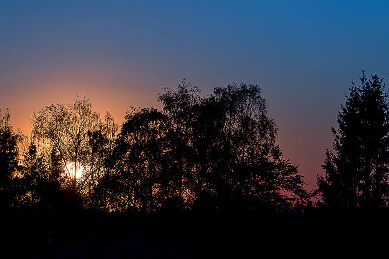 non-urban scene, clear sky, abendstimmung, golden light, beauty in nature, outdoors, tree, land, himmelröte, plant, idyllic, tranquil scene, dusk, silhouette