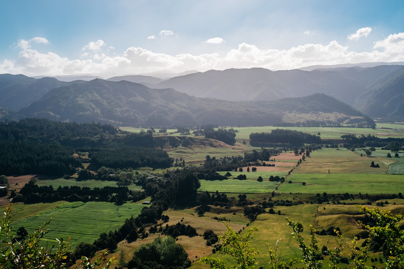 abel tasman, rural scene, 4K, environment, land, growth, nz, non-urban scene, new zealand, cloud - sky, hills, farm, south island, nature, beauty in nature