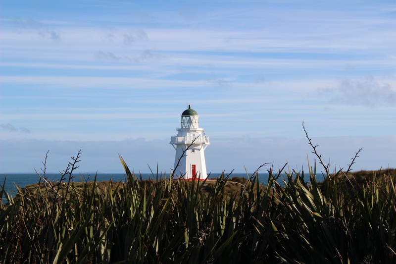 coastal, scenics - nature, security, sky, new zealand, coast, protection, blue sky, south island nz, plant, day, cloud - sky, no filter nature, grass, safety