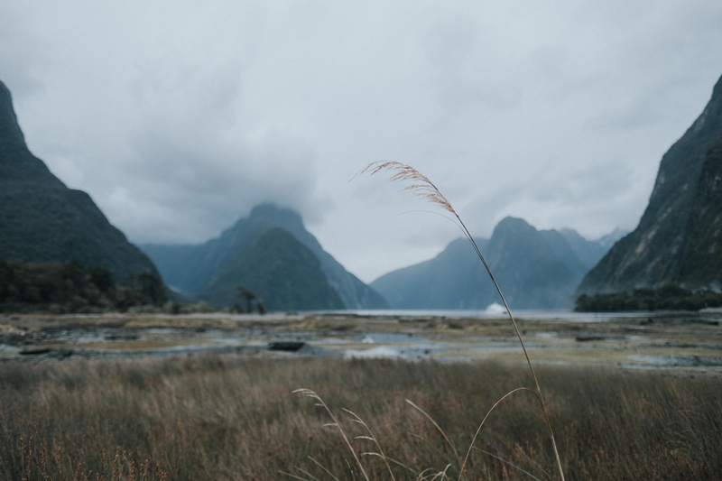 beauty in nature, cloud - sky, idyllic, nz, sky, day, new zealand, heaven, scenics - nature, land, tranquility, nature, fjord, mountain peak