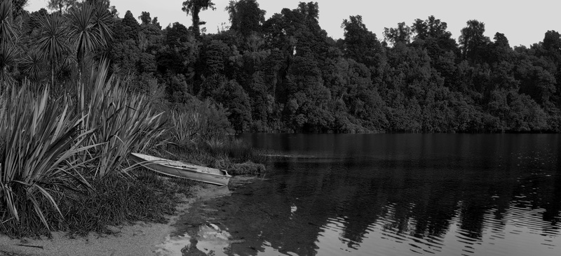 reflection, new zealand, beauty in nature, outdoors, sky, waterfront, south island, forrest, tropical, scenics - nature, tranquility, no people, trees