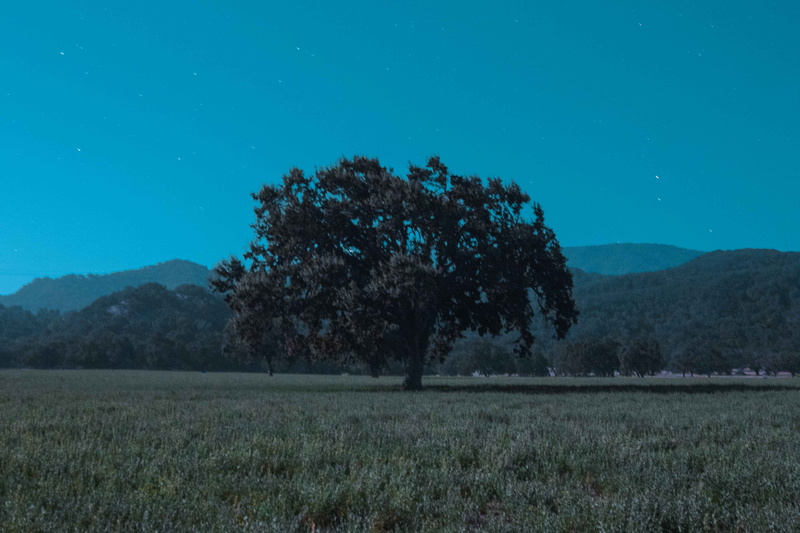 night, environment, grass, night time, blue, alone, nightscape, farm, nature, no people, hill, starry night, landscape, tranquility, country, beauty in nature
