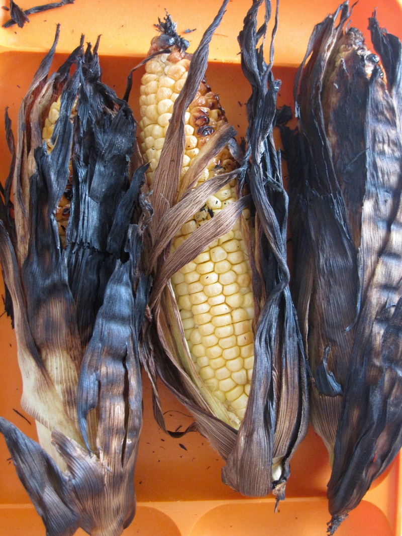 foodstuffs, indian, popcorn, corn on the cob, cooking, food, sweetcorn, grain, still life, indoors, food and drink, corn, burnt, no people, nutrition, animal