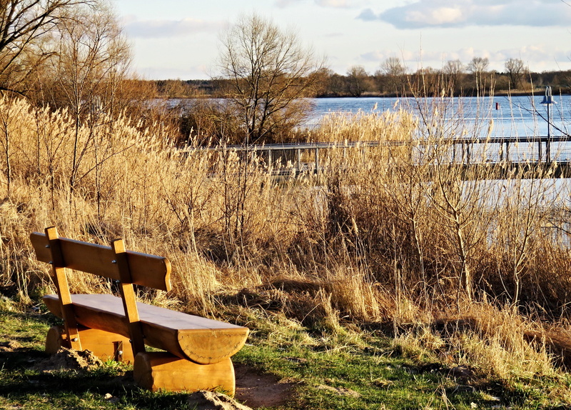 wooden bench, sky, tree, land, natural, nice place, to relax, nature, plant, lake, beauty in nature, winter, day, piers, river landscape, 4K, outdoors