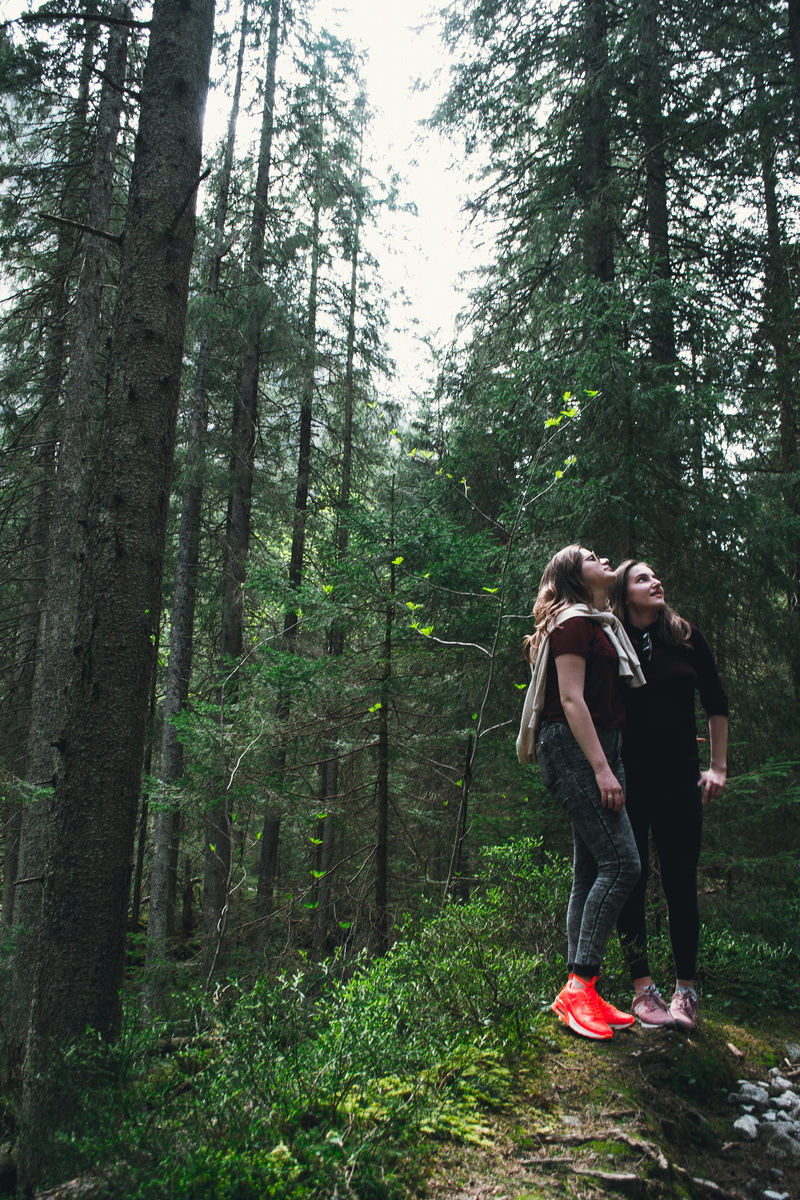full length, hill, plant, standing, lifestyles, weather, day, adult, friends, road, women, growth, tree, moss, casual clothing, people, way, glasses, minimalism