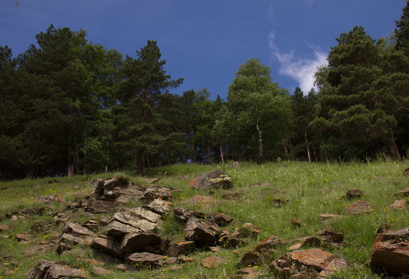 sun, woodland, mountains, rock - object, height, sky, elbrus region, tranquility, no people, beauty in nature, green color, kabardino-balkaria, tree, outdoors