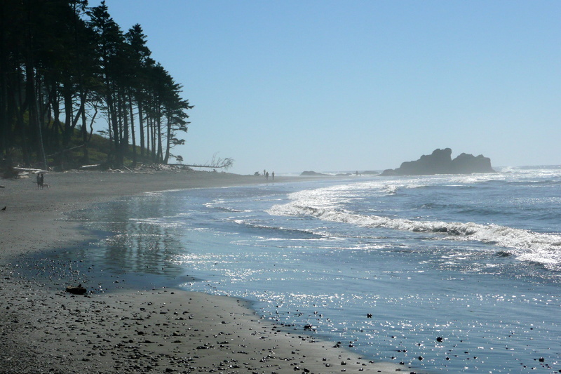 scenery, idyllic, non-urban scene, shoreline, wave, plant, ocean, olympic national park, tranquility, beach, outdoors, usa, horizon over water, no people