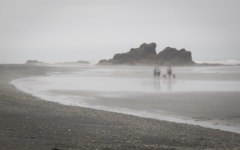 fog, united states, people, scenics - nature, sand, ruby beach, ocean, day, land, non-urban scene, tranquility, copy space, beach, nature, real people