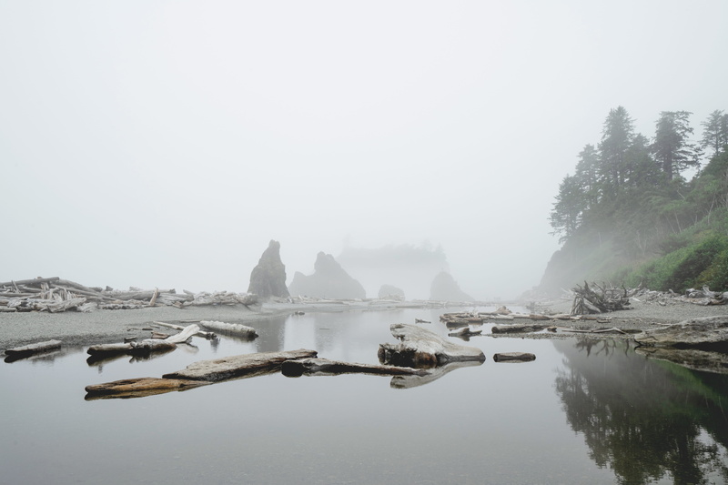no people, washington, zy, copy space, moutnain, outdoors, sky, lake, fog, coast, background, wood, water, day, cold temperature, waterfront, beauty in nature