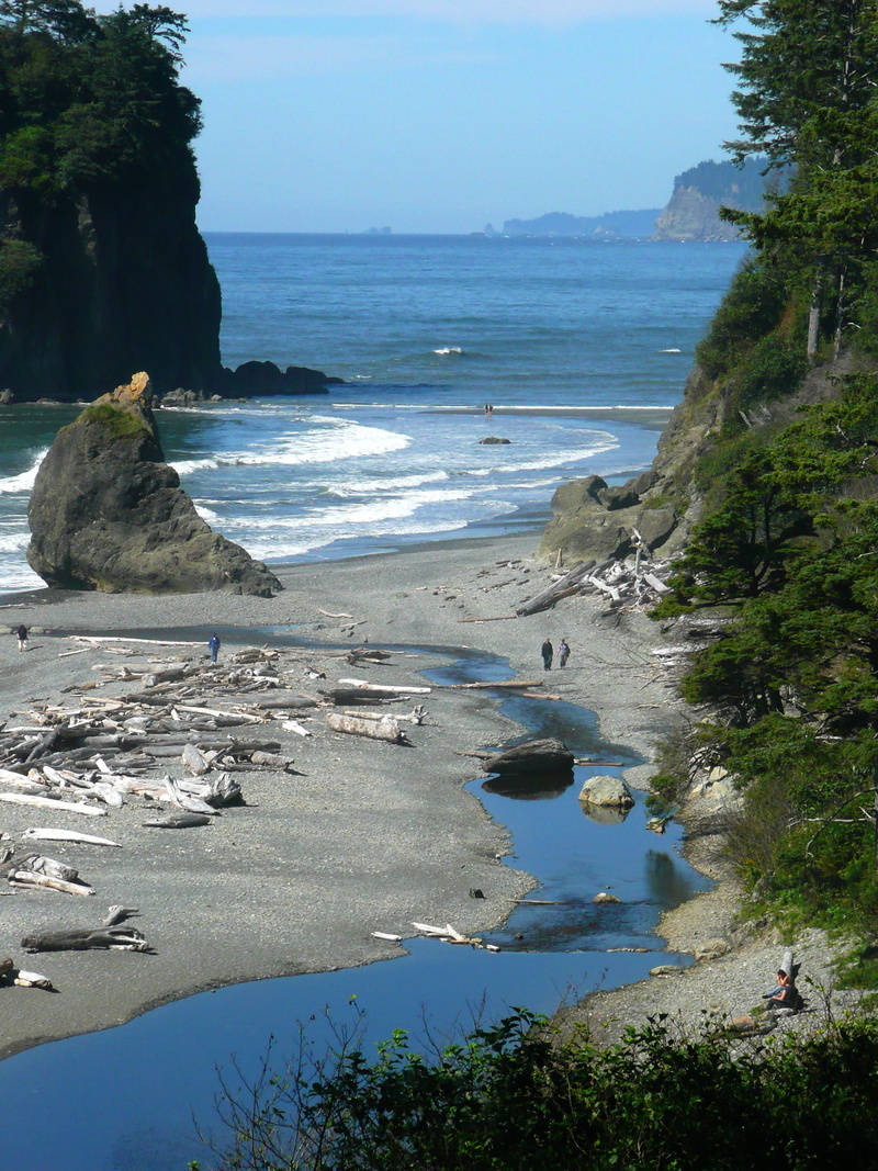 land, coast, Beach, beach, beauty in nature, washington, 2K, Ruby, plant, sky, day, tranquil scene, Usa, Washington, rock, scenics - nature, sea, ocean