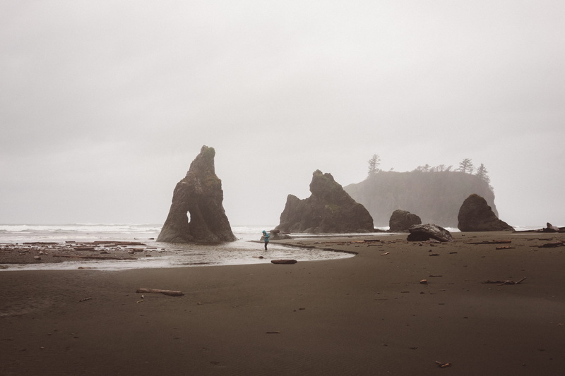 rock, rock - object, stack rock, ocean, tranquility, rock formation, mist, scenics - nature, non-urban scene, united states, idyllic, ruby beach, ridge
