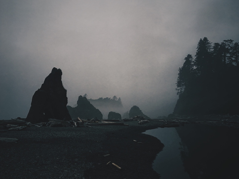 rock formation, beauty in nature, mist, tranquil scene, 4K, united states, no people, mystery, fog, scenics - nature, coast, driftwood, outdoors, dark