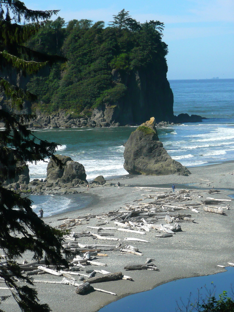 pacific, usa, motion, Olympic National Park, sky, day, rocks, rock, scenery, horizon, park, beauty in nature, ruby, coast, no people, wave, tree, solid