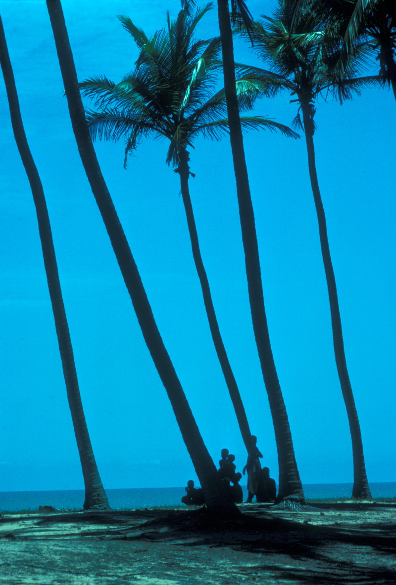 beauty in nature, beach, men, 4K, nature, land, scenics - nature, tranquility, plant, blue sky, silhouette, two people, tropical climate, horizon over water