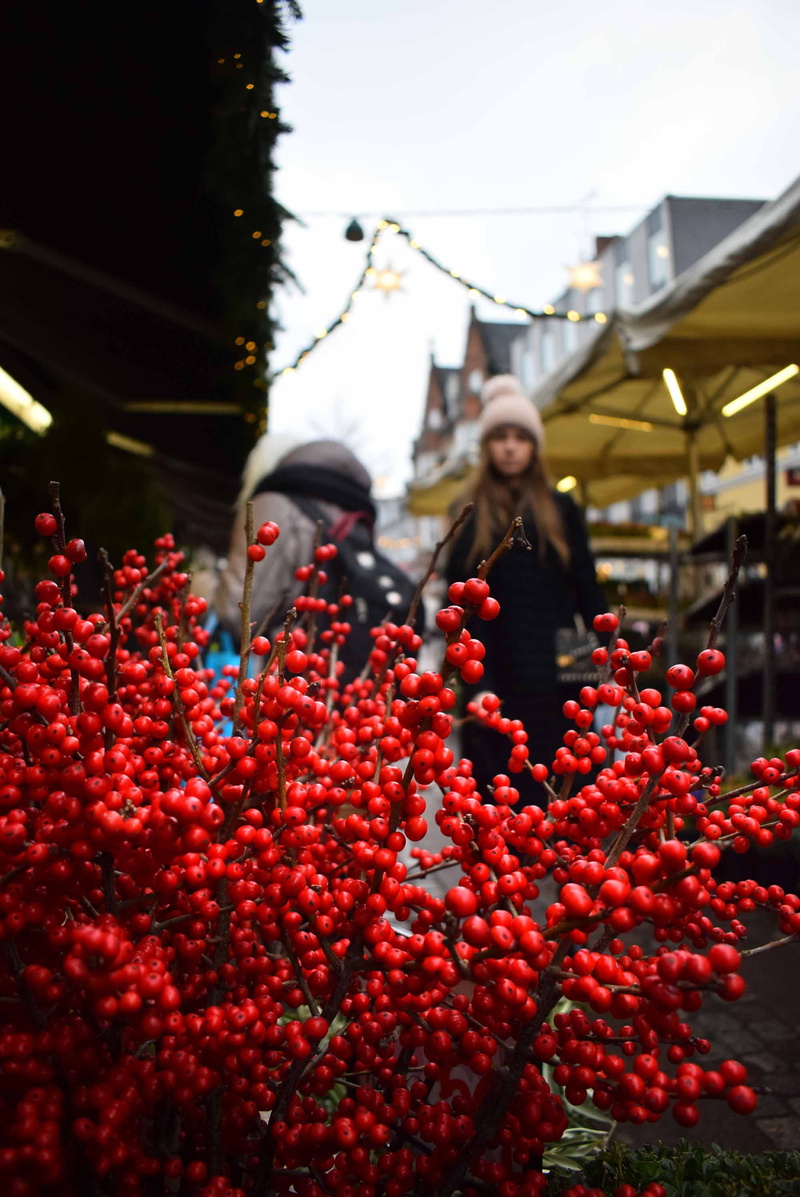 food and drink, food, red flower, market, day, incidental people, healthy eating, plant, street, freshness, flowering plant, fruit, real people, colors