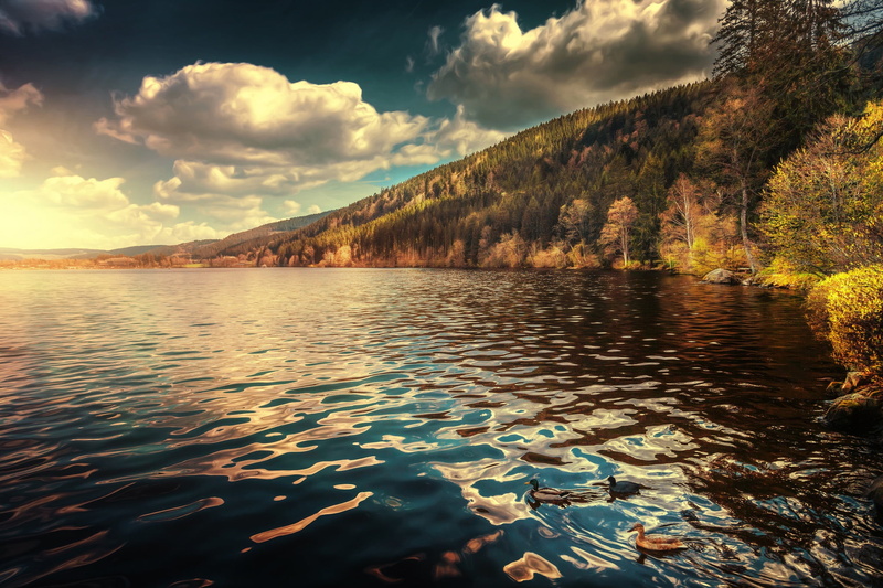 non-urban scene, lake, cloud - sky, mountain, scenics - nature, Germany, plant, beauty in nature, 1080P, day, sky, duck, trees, reflection, no people