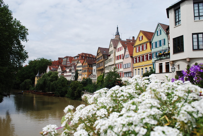 baden-wurttemberg, 4K, river, plant, residential district, europe, architecture, water, sky, tree, cloud - sky, building exterior, outdoors, row house