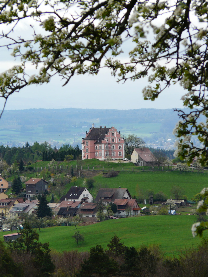 baden württemberg, bodanrück, volute gable, Baroque, baroque style, Castle, tree, no people, district konstanz, day, sky, field, architecture, abandoned