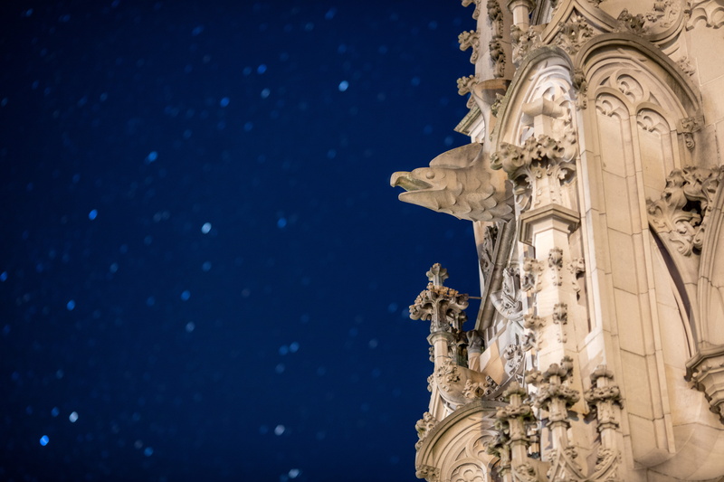 water, low angle view, sky, building exterior, nature, craft, male likeness, no people, statue, konstanz, the past, germany, architecture, gargoyle night  starry sky