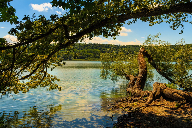 view, sky, water, landscape, blue, wood, tranquil scene, cloud - sky, outdoors, outlook, reflection, beauty in nature, tree, day, tranquility, trunk, mainau island