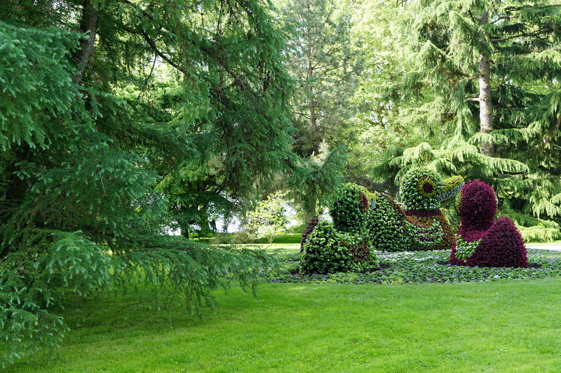 green color, scenics - nature, hedge, no people, tree, topiary, foliage, grass, formal garden, 5K, tranquil scene, lush foliage, beautiful, growth, plant