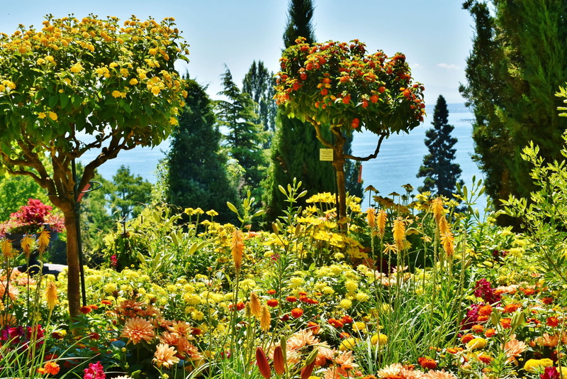 sky, park, lake, tree, sunlight, flower, field, tranquility, stairs, summer, growth, scenics - nature, mainau, plant, nature, tourism, land, water, water feature