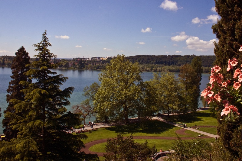 green color, autumn, day, no people, growth, tranquility, 2K, tree, mainau island, scenics - nature, architecture, tranquil scene, park, water, outdoors