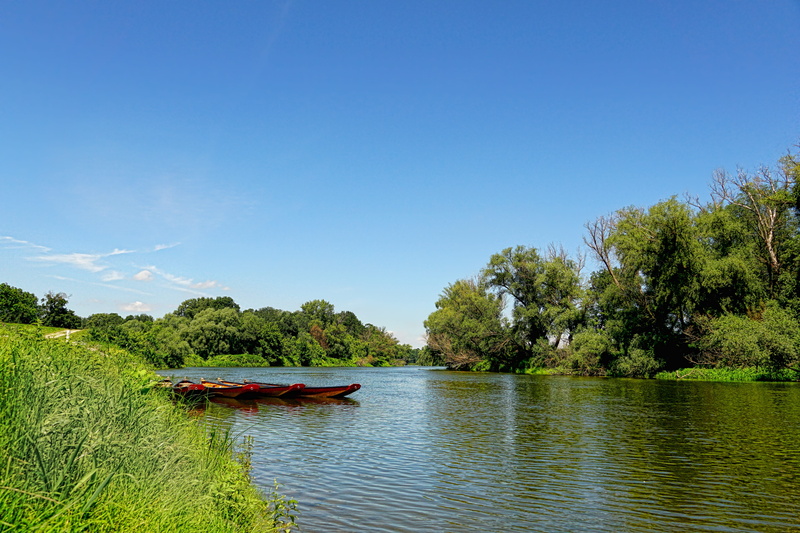 growth, plant, green color, boats, scenics - nature, lake, day, water, blue, mode of transportation, nature, tranquility, clear sky, rest, waterfront, river