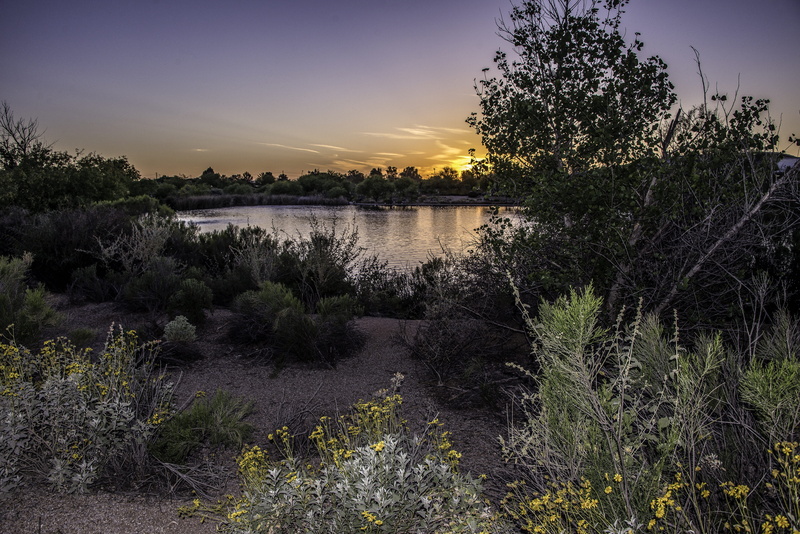 scenics, verde, reflection, Riparian, tree, idyllic, hiking, plant, beauty In Nature, glibert, non-urban scene, path, lake, natural, water, sunset, growth