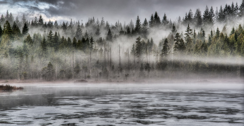 Lakeside, Forest, Canada, Majestic, Tourism, beauty In Nature, Wood, Scenery, Solitude, Pine, Travel, Quiet, Nobody, Serenity, Countryside, Weather, Overcast