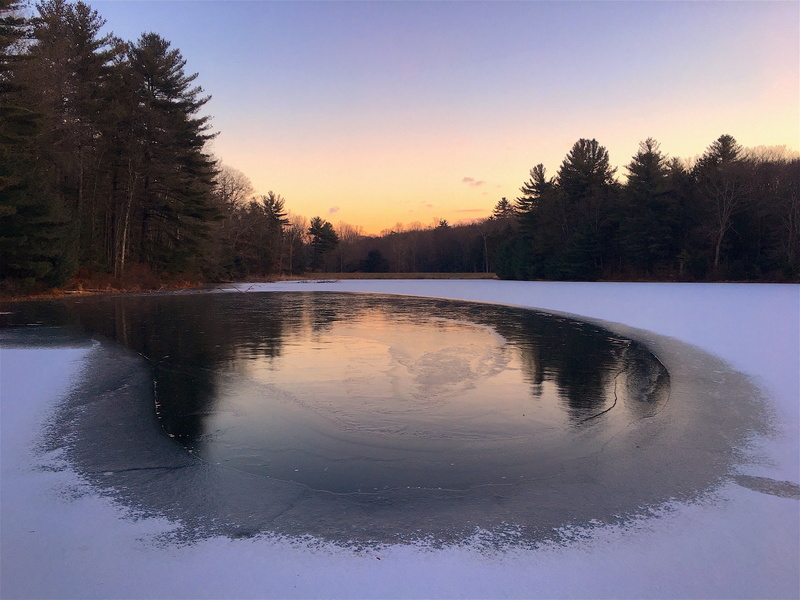 bright, sunshine, beauty in nature, forest, scenery, frost, trees, cold, sky, winter, season, tranquil scene, scenic, nature, natural, plant, frozen, body