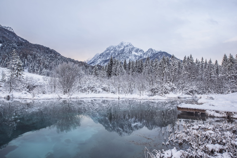 pine woodland, day, grey, cold temperature, lake, white, landscapes, cold, nature, snowcapped mountain, beauty In Nature, scenics - nature, covered, outdoors