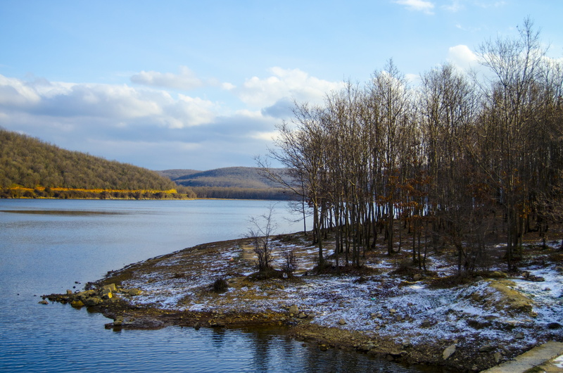 lake, idyllic, forest, scenics, waterfront, beauty In Nature, outdoors, trees, Winter, Tree, bodies Of Water, nature, swamp, sky, scenics - nature, 4K