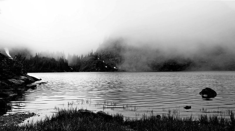 animal, weather, mountain, beauty in nature, tranquil scene, 4K, outdoors, landscape, bird, scale, tranquility, gray, reflection, grass, lake, nature