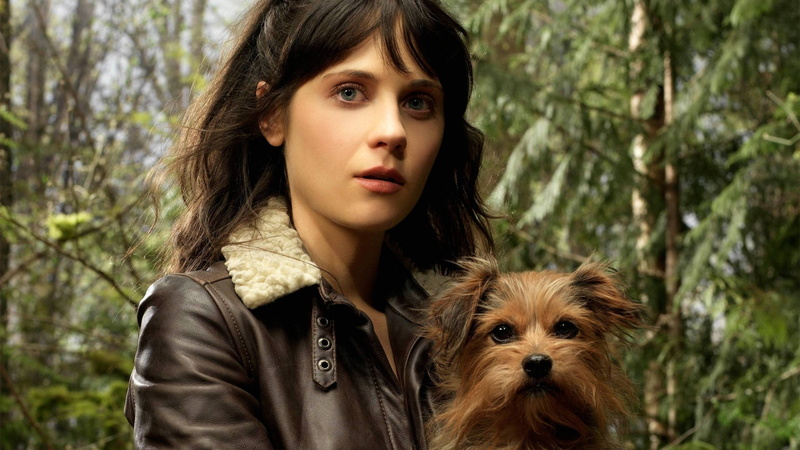zooey, dog, cute, yes man, 2K, little, actress, deschanel