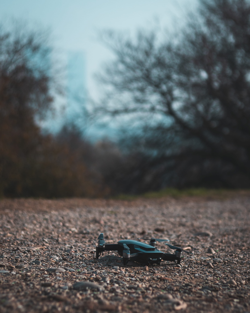 plant, drone, field, vertebrate, animal themes, dirt road, nature, animal, clothing, transportation, machine, black, no people, road, asphalt, one animal