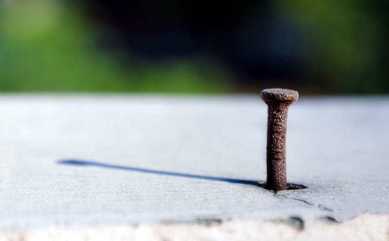 textured, incense, spiral, animal, machine, sunlight, strength, cylinder, experimental, ammunition, bird, weaponry, weapon, outdoors, day, 2K, rusty, rust
